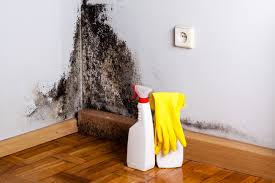 Biohazard Mold Removal in West Allis, WI